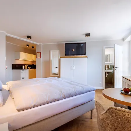 Logierhaus Rheintoreins 3*