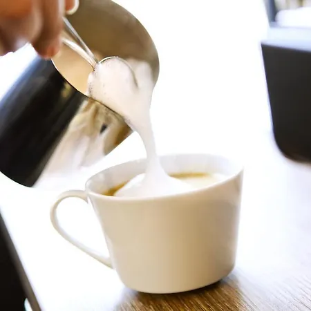 Hotel Logierhaus Rheintoreins 3*