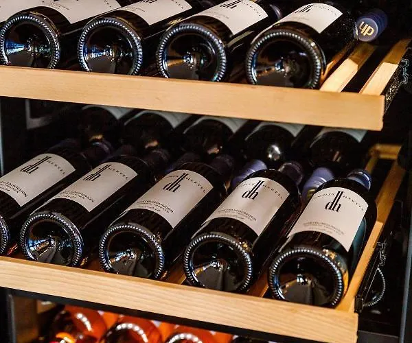 Logierhaus Rheintoreins فندق 3*