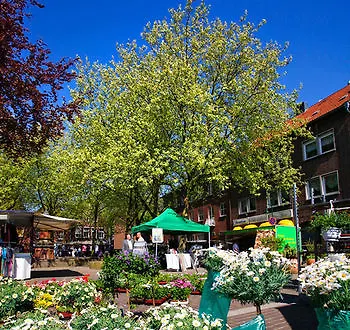 Logierhaus Rheintoreins فندق