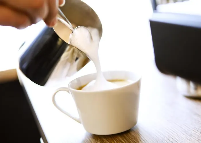 فندق Logierhaus Rheintoreins 3*